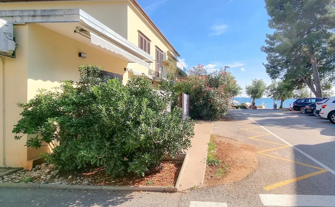 Fiore Two Novigrad