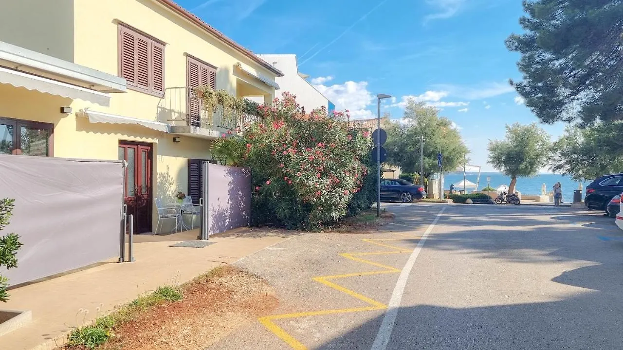 Fiore Two Novigrad